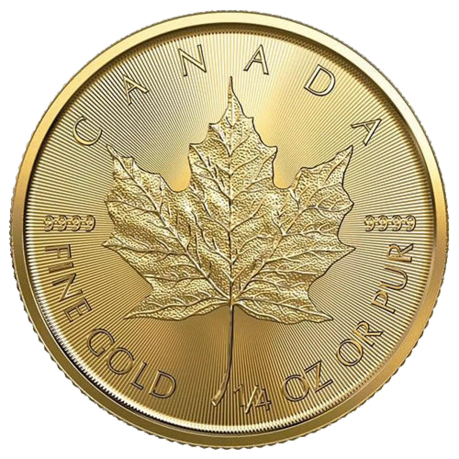 2024 1/4 oz Gold Maple Leaf Coin Royal Canadian Mint Harlan J. Berk